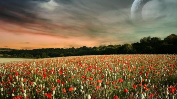 如何看待小米 YU7 3 分钟大定突破 20 万辆，锁单 12.2 万辆？小米汽车做对了什么？